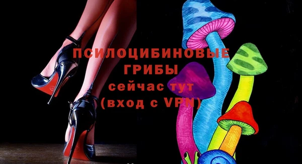 гашик Баксан