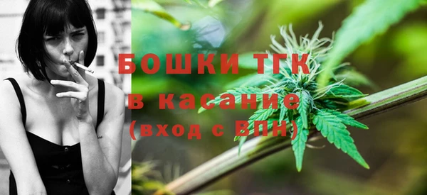 spice Арсеньев