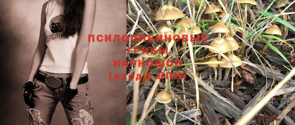 ECSTASY Покров