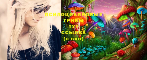 мдпв Балабаново
