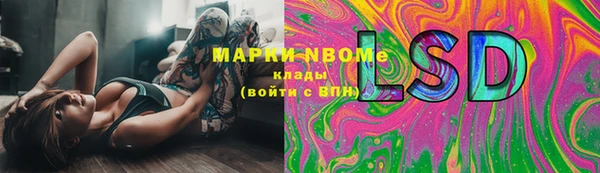 стафф Белокуриха