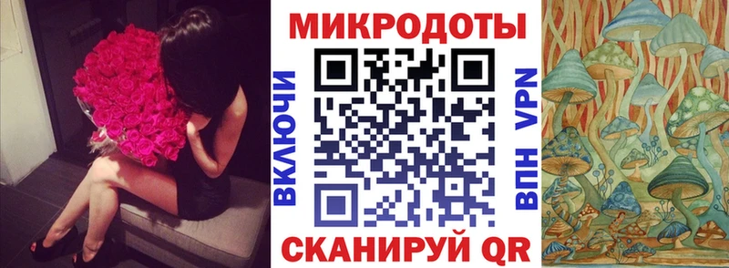 Псилоцибиновые грибы Psilocybe купить закладку Буй